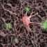 Know Your Body’s Orchestra: Nervous System’s Role in Homeostasis