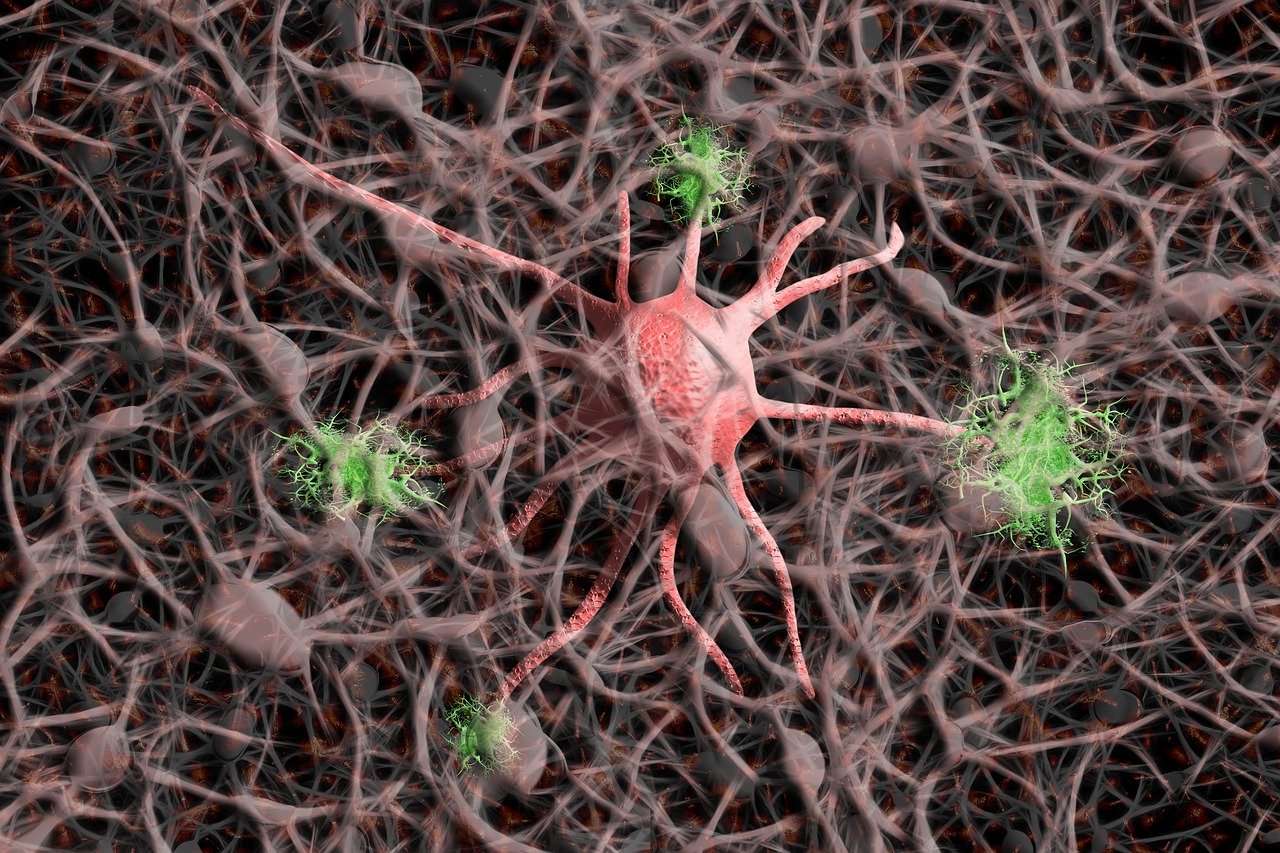 You are currently viewing Know Your Body’s Orchestra: Nervous System’s Role in Homeostasis